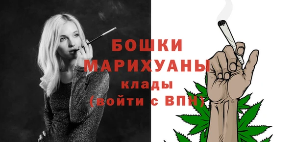 2c-b Горно-Алтайск