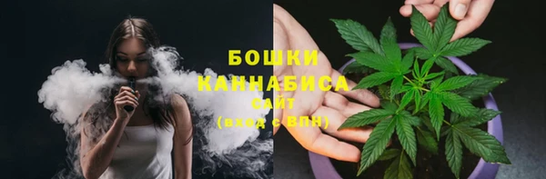 2c-b Горно-Алтайск