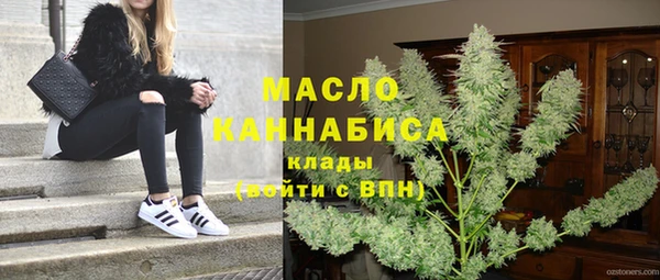 винт Горняк