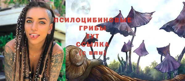 меф Гусев