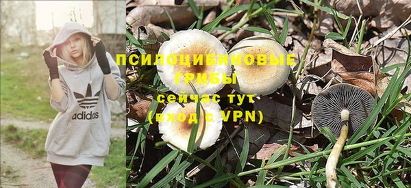 винт Горняк