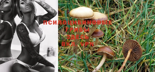 MDMA Premium VHQ Володарск